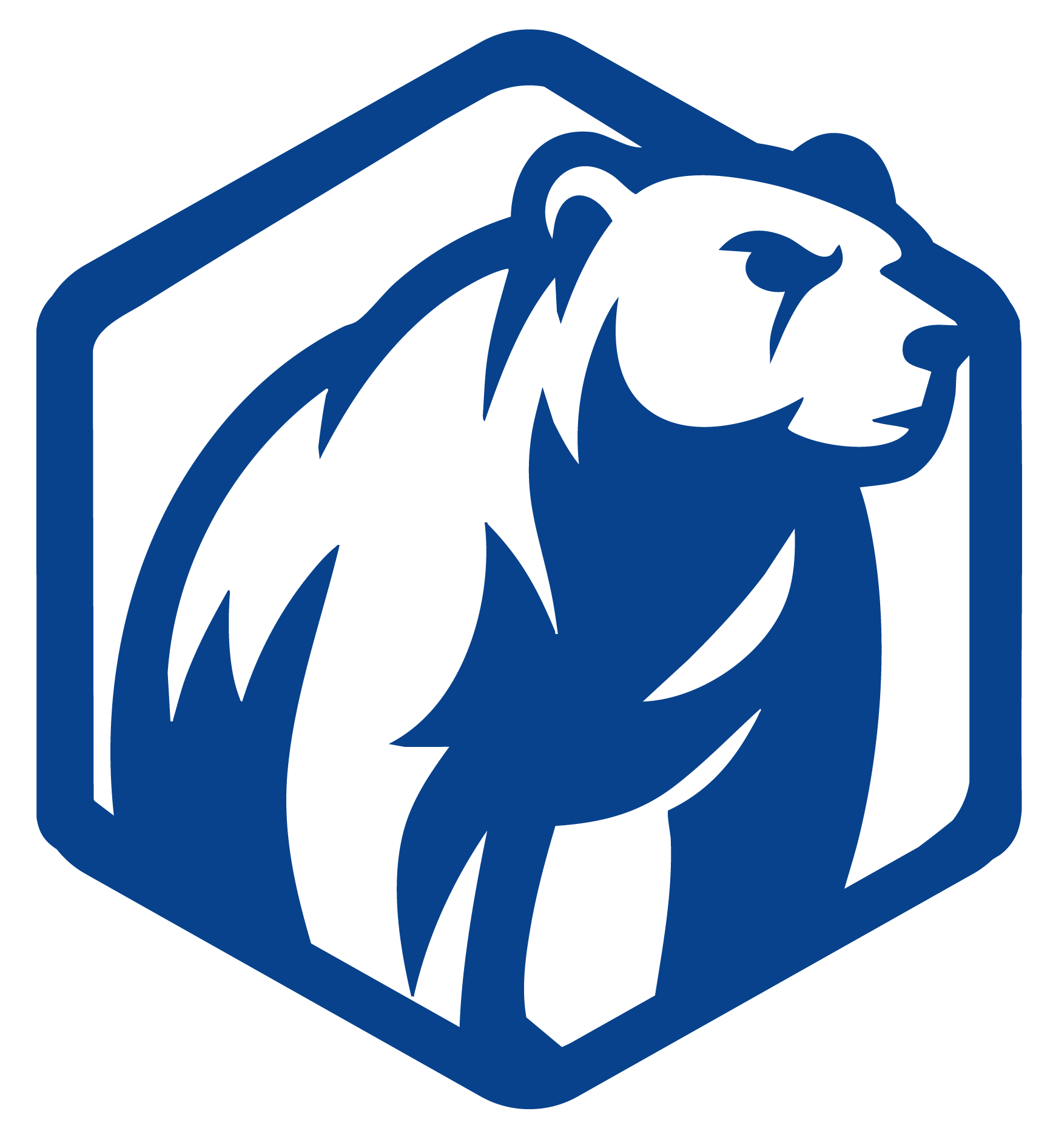 HibearnaTech