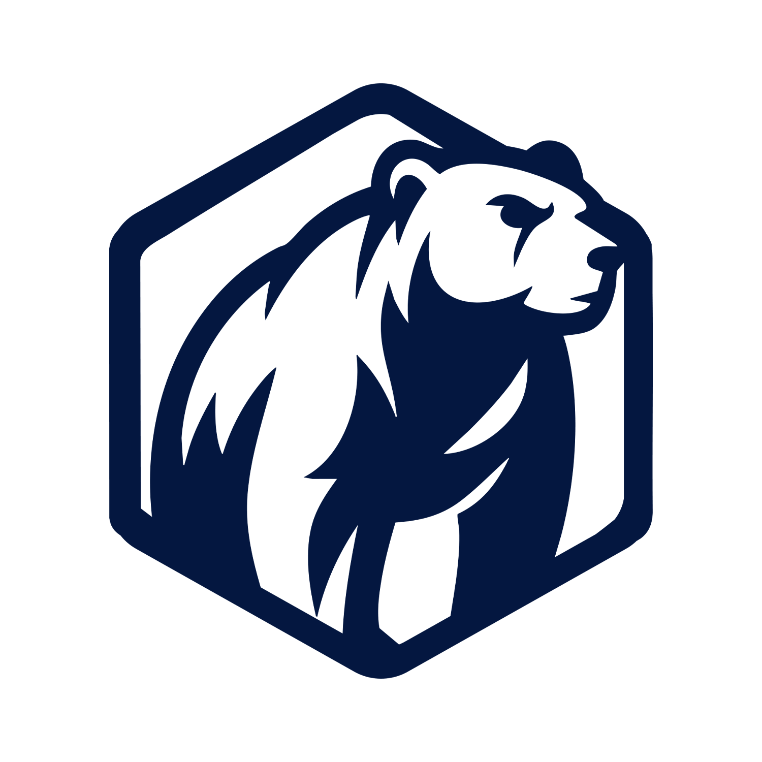 Hibearna Tech logo